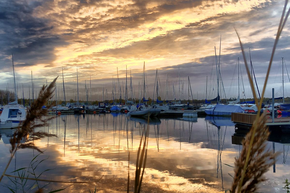 Photo: Manu Steinbach